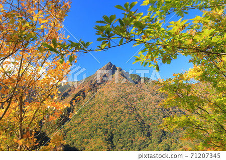 [愛媛縣]石zu山的秋葉在晴朗的天氣下 71207345