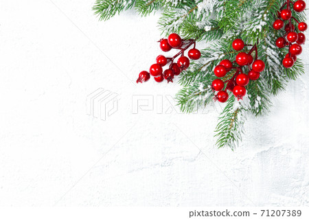 Christmas background Pine tree branches red berries Christmas background Pine tree branches red berries 71207389