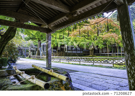 賴山千龍寺大莊院（福岡縣to島市），有美麗的紅葉 71208627