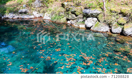 Lake Hakuryu (Kochi) Lake Hakuryu (Kochi) 71208828