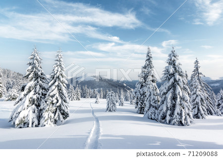 Fantastic winter landscape 71209088