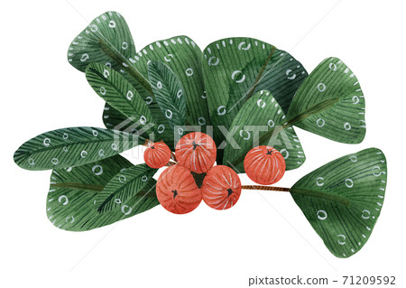 christmas boquet by watercolor christmas boquet by watercolor 71209592