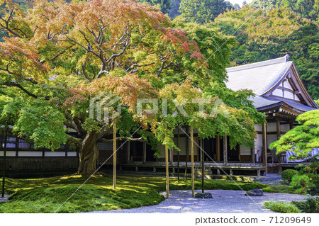 Raizan Senryoji Temple Daisouin (Itoshima City, Fukuoka Prefecture) with beautiful colored leaves 71209649