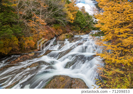 [Slow shutter shooting of the autumn leaves of Ryuzu Falls in the middle] 71209853