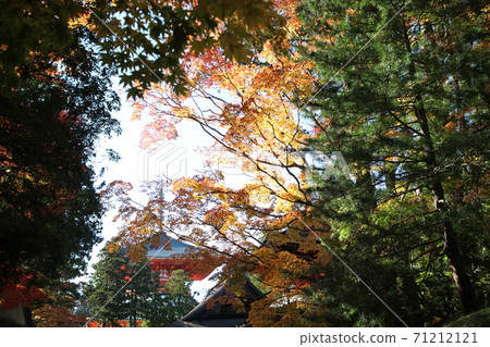 Koyasan in autumn 71212121