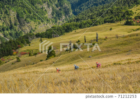 Taiwan Baiyue-Snow Mountain Mountain Main Peak Circle Valley and Shenglin Line Taiwan Baiyue-Snow Mountain Mountain Main Peak Circle Valley and Shenglin Line 71212253