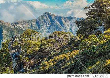 Taiwan Baiyue-Snow Mountain Saint Ridge (Snow North Mountain House and Yushan Juniper Forest) 71212699