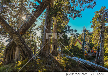 台灣百岳-雪山聖稜線(雪北山屋與玉山圓柏森林) 71212706
