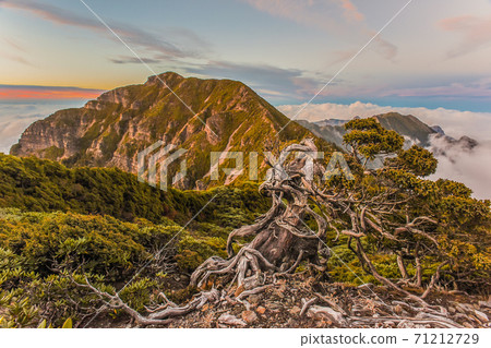 Taiwan Baiyue-Snow Mountain Saint Ridge (Snow North Mountain House and Yushan Juniper Forest) Taiwan Baiyue-Snow Mountain Saint Ridge (Snow North Mountain House and Yushan Juniper Forest) 71212729
