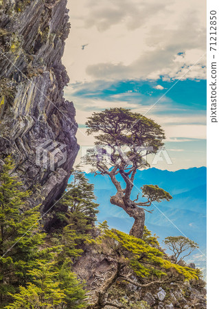 台灣百岳-雪山武陵四秀步道(桃山 品田 池有 克拉業 與 新達山屋) 71212850