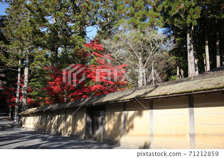 Koyasan in autumn 71212859