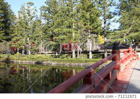 Koyasan in autumn 71212871