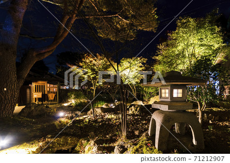 Illuminated autumn leaves Castle Tower Nature Park Taihaku-ku, Sendai 71212907