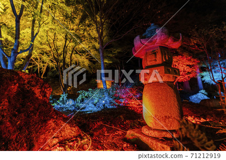 Illuminated autumn leaves Castle Tower Nature Park Taihaku-ku, Sendai 71212919