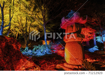 Illuminated autumn leaves Castle Tower Nature Park Taihaku-ku, Sendai 71212920