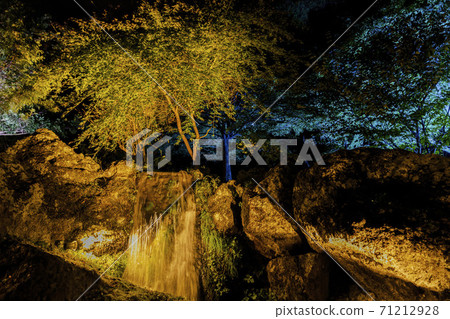 Illuminated autumn leaves Castle Tower Nature Park Taihaku-ku, Sendai 71212928