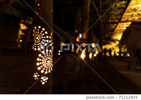 Illuminated autumn leaves Castle Tower Nature Park Taihaku-ku, Sendai 71212935