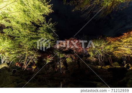Illuminated autumn leaves Castle Tower Nature Park Taihaku-ku, Sendai 71212939
