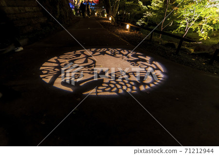 Illuminated autumn leaves Castle Tower Nature Park Taihaku-ku, Sendai 71212944