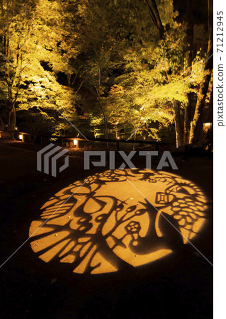 Illuminated autumn leaves Castle Tower Nature Park Taihaku-ku, Sendai 71212945