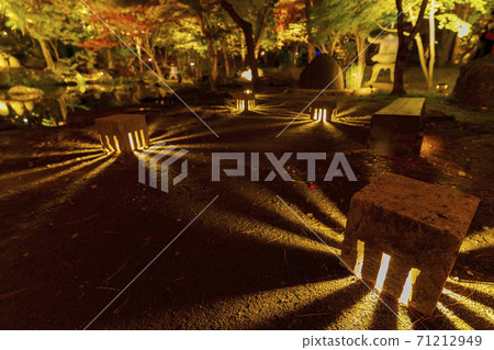 Illuminated autumn leaves Castle Tower Nature Park Taihaku-ku, Sendai 71212949