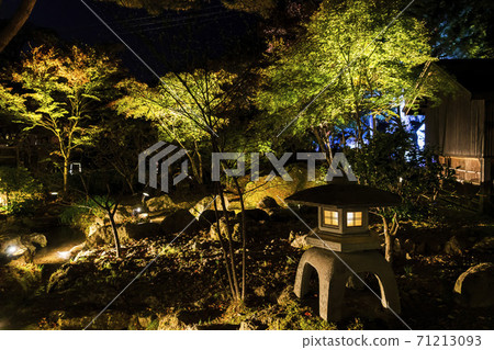 Illuminated autumn leaves Castle Tower Nature Park Taihaku-ku, Sendai 71213093