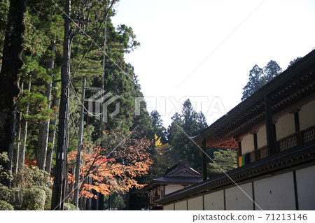 高野山在秋天 高野山在秋天 71213146