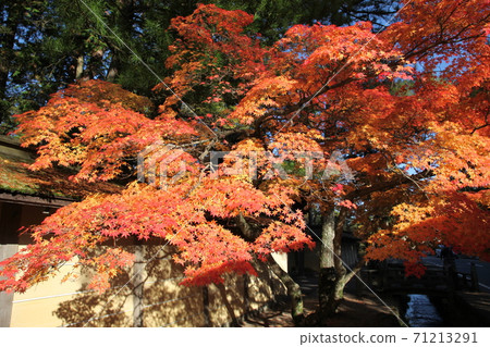 Koyasan in autumn Koyasan in autumn 71213291