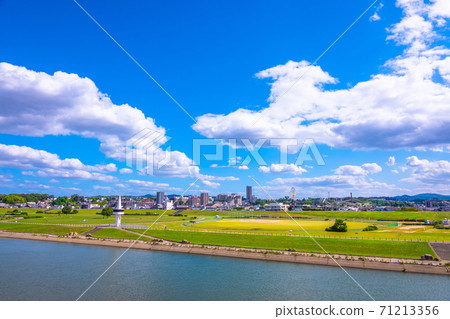 枚方市容和淀川河床 71213356