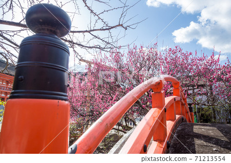 下鴨神社,“林橋”和“小林” 下鴨神社,“林橋”和“小林” 71213554