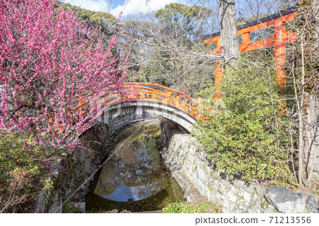 Shimogamo Shrine, "Rinbashi" over the Mitarai River and "Korin no Ume" in full bloom 71213556