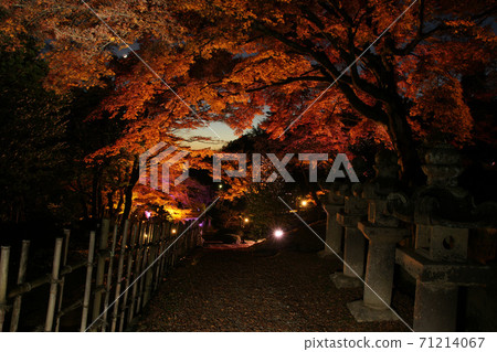 Tottori four seasons walk winter Ikeda family graveyard Tottori four seasons walk winter Ikeda family graveyard 71214067