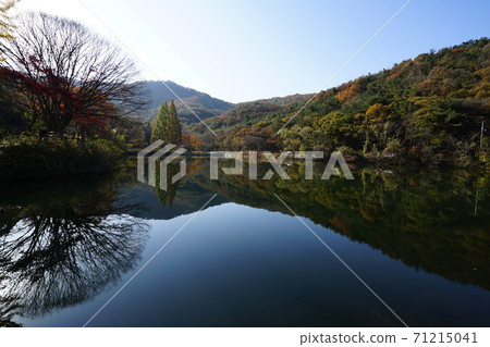 忠南,公主和布良果 忠南,公主和布良果 71215041