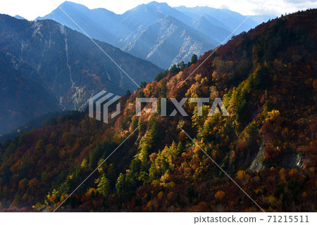 Autumn leaves of Tateyama Kurobe Alpine Route 71215511
