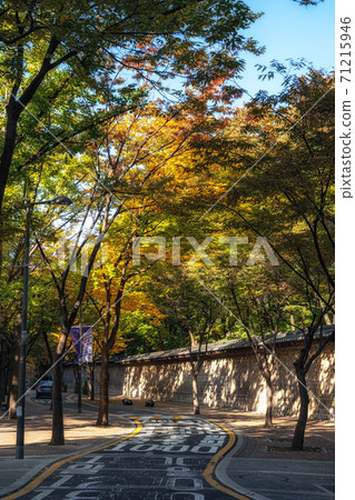 Deoksugung doldam gil road Deoksugung doldam gil road 71215946