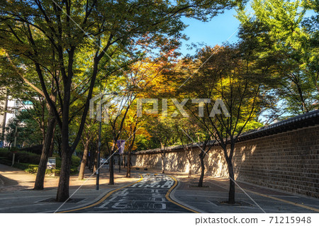 Deoksugung doldam gil road 71215948