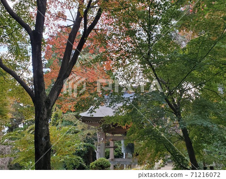 秋葉和心寺 秋葉和心寺 71216072