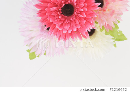 非洲菊花束 71216652