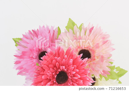 非洲菊花束 非洲菊花束 71216653