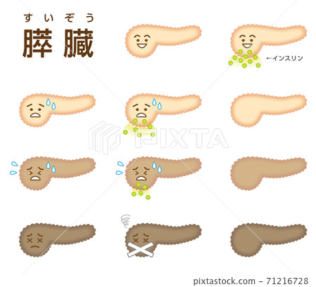 Pancreas image illustration 71216728