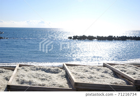 Shirasu幹 Shirasu幹 71216734