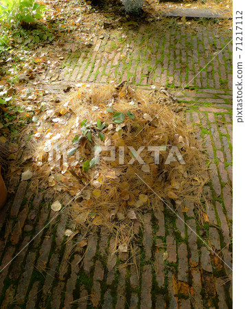 北部山麓地區的季節性新聞 71217112