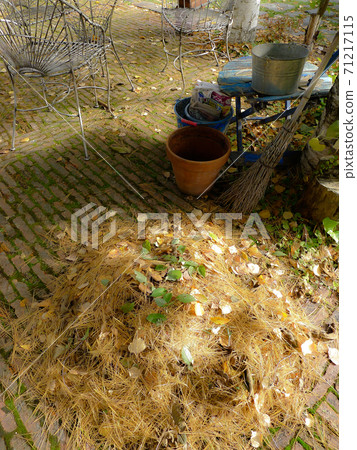 北部山麓地區的季節性新聞 71217115