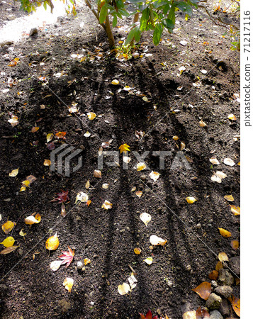 北部山麓地區的季節性新聞 71217116