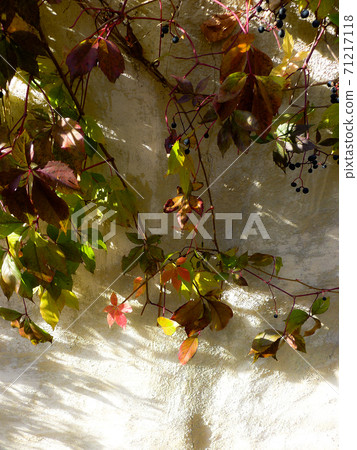 北部山麓地區的季節性新聞 71217118