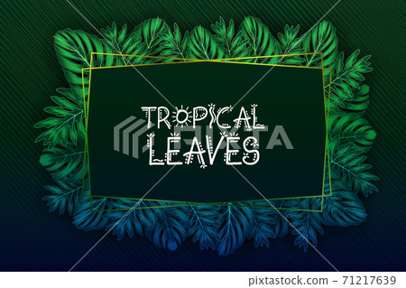 Exotic pattern with tropical leaves on a black background. Exotic pattern with tropical leaves on a black background. 71217639