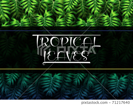Exotic pattern with tropical leaves on a black background. Exotic pattern with tropical leaves on a black background. 71217640
