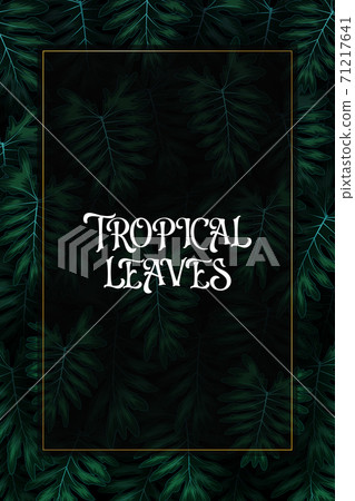 Exotic pattern with tropical leaves on a black background. Exotic pattern with tropical leaves on a black background. 71217641