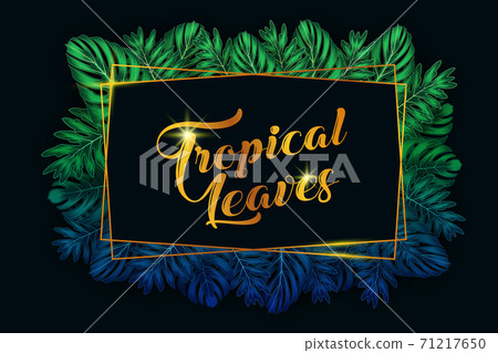 Exotic pattern with tropical leaves on a black background. Exotic pattern with tropical leaves on a black background. 71217650