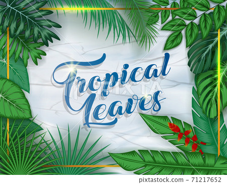 Exotic pattern with tropical leaves on a black background. Exotic pattern with tropical leaves on a black background. 71217652